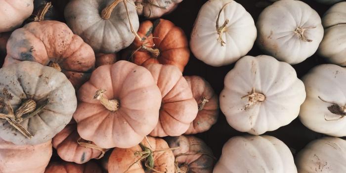 1280x960 macadameia | Autumn aesthetic, Fall inspo, Hello autumn