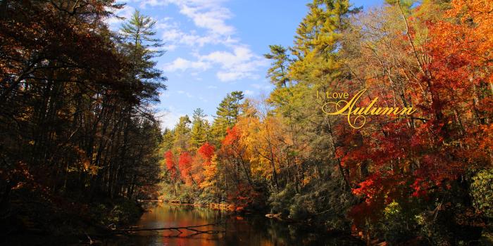 2560x1600 Fall Wallpapers, Fall Facebook Covers, Fall Printables by Kate.net