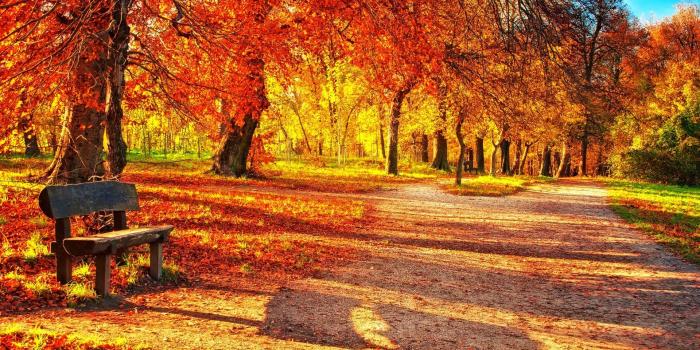 1920x1080 Fall Leaves Wallpaper for Desktop (60+ images)