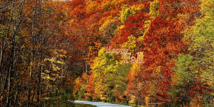 2560x1600 Fall Wallpapers, Fall Facebook Covers, Fall Printables by Kate.net
