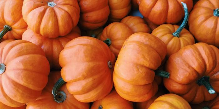 1536x2048 VSCO - sfrench14 | Pumpkin, Autumn aesthetic, Fall wallpaper