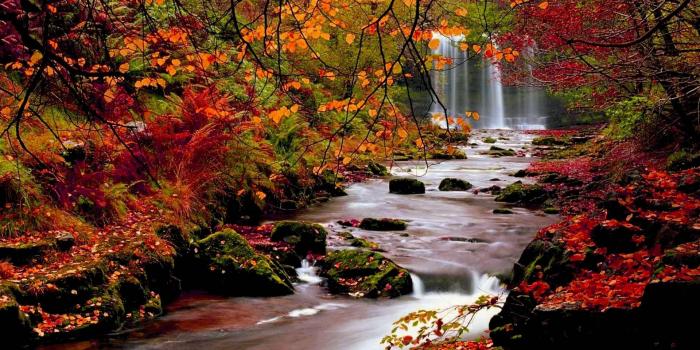 1920x1080 6 Reasons Why Fall Is The Greatest Season Ever | Autumn scenery