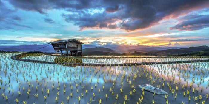 1920x1080 wallpaper Windows 10 ·① Download free awesome High Resolution