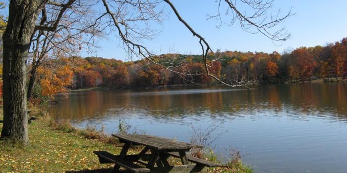 1024x768 Keystone State Park, Pennsylvania | Mapio.net