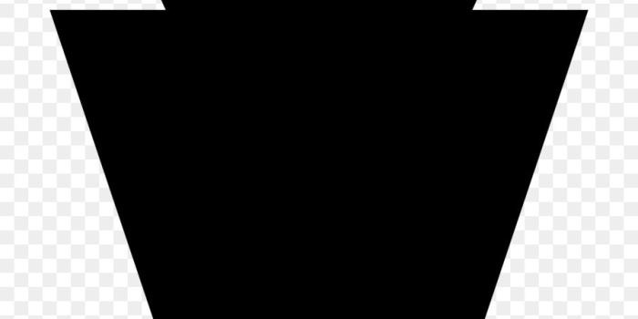 900x880 Pennsylvania Keystone Clip art - others