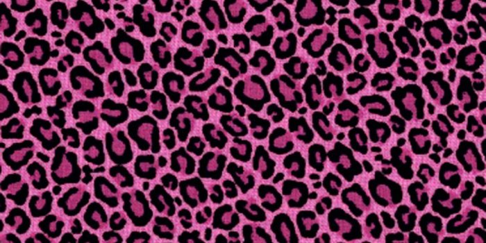 1024x853 Pink Leopard Backgrounds posted by Zoey Walker