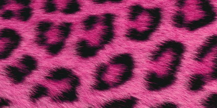 1024x768 44+] Pink Fur Wallpaper on WallpaperSafari