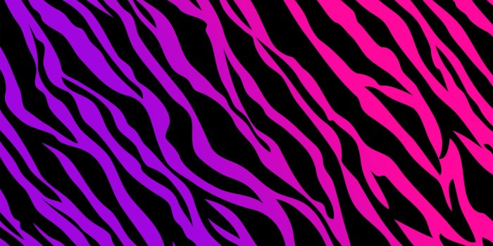 2880x1800 Animal Print Wallpapers - Top Free Animal Print Backgrounds