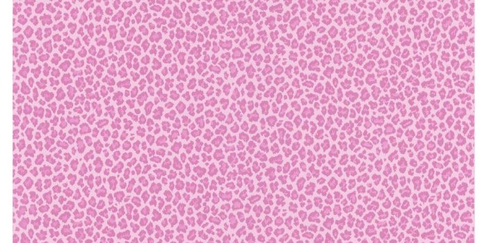 1000x1000 Pink Leopard Wallpaper #8ENVCE4, 0.21 Mb - Picserio.com