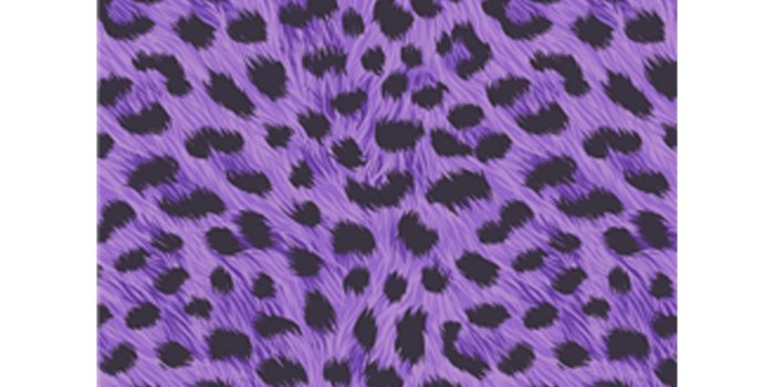 1600x1600 ANIMAL PRINT WALLPAPER WALL DECOR - TIGER LEOPARD ZEBRA SNAKE SKIN