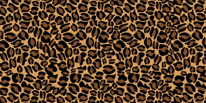 1920x1200 Pictures of Cheetah Print Wallpaper ·① WallpaperTag