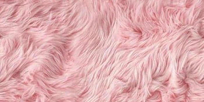 1080x1920 Fur Wallpapers - Top Free Fur Backgrounds - WallpaperAccess