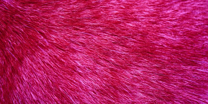3888x2592 44+] Pink Fur Wallpaper on WallpaperSafari