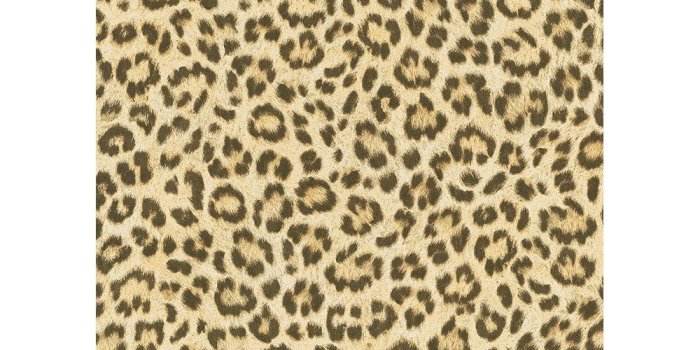 1000x1000 Cheetah Fur Wallpapers Group (35+)