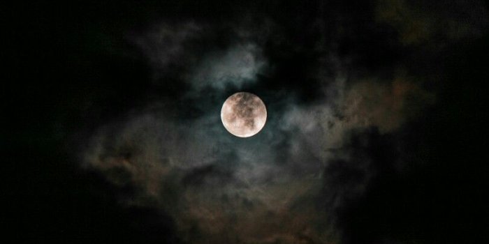 810x1440 Hank Bratton on Coffee Shop/Oils Inspiration | Night sky