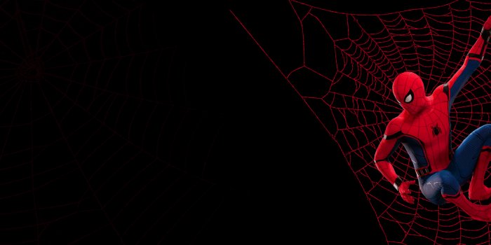 2560x1440 Spiderman Homecoming Background posted by John Mercado