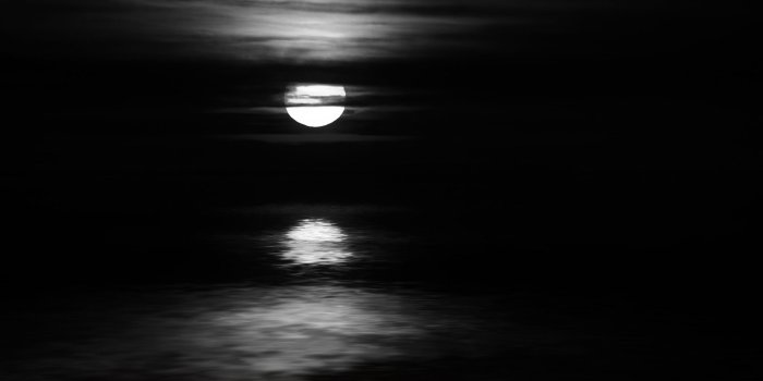2560x1600 Moonlight Charade Mac Wallpaper Download | AllMacWallpaper