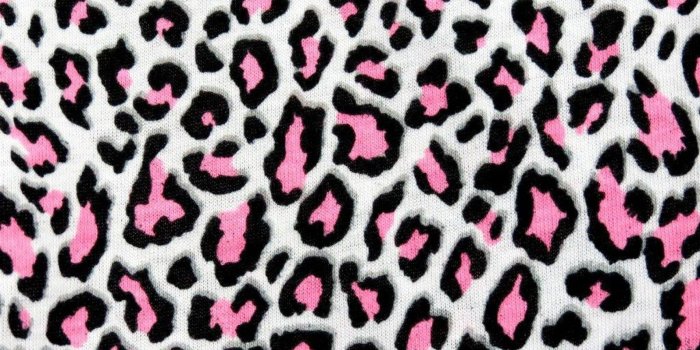 1920x1080 Pictures of Cheetah Print Wallpaper ·① WallpaperTag