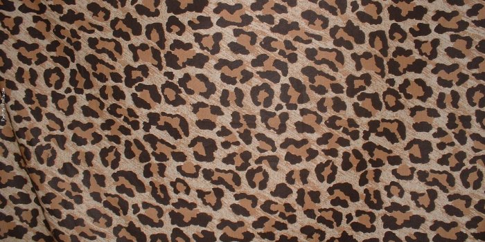 1600x1200 Leopard Print Background - PowerPoint Backgrounds for Free