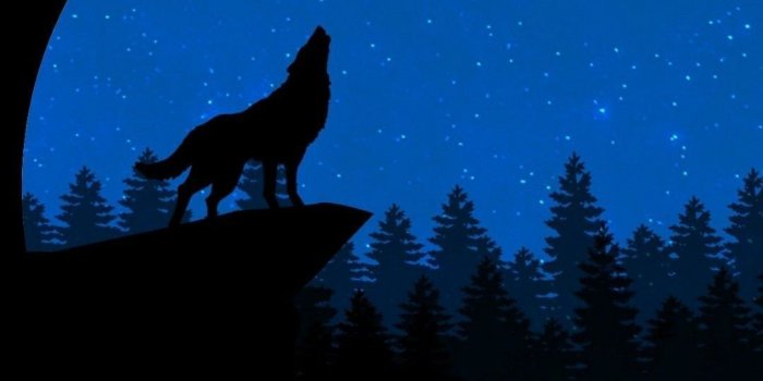 1080x1920 iPhone Wallpaper | Black, Moonlight, Sky, Light, Silhouette, Night