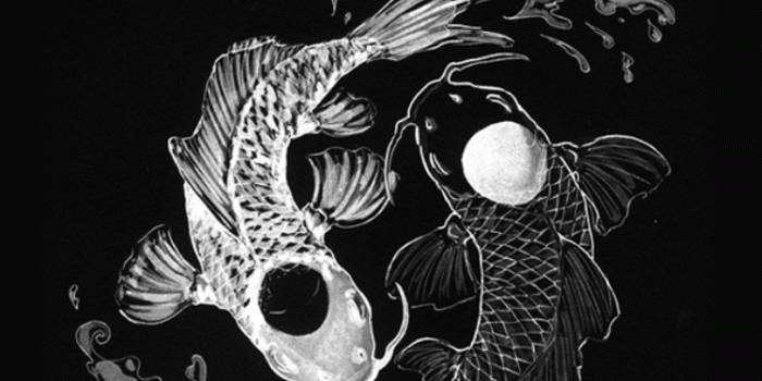 750x1334 Black Magic Wallpapers - Top Free Black Magic Backgrounds