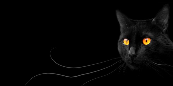 1920x1200 Black Magic Wallpapers - Top Free Black Magic Backgrounds