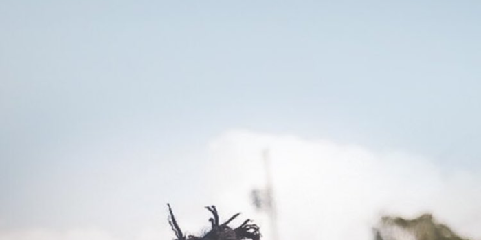 1242x2208 Wallpaper J Cole Logo