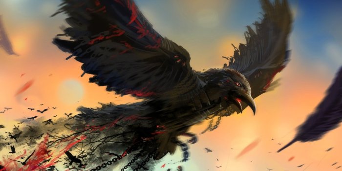 2560x1440 70+ Crow Desktop Wallpapers on WallpaperPlay
