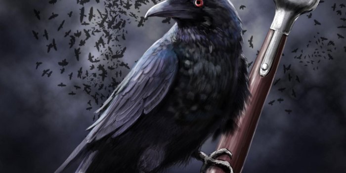 1920x1080 70+ Crow Desktop Wallpapers on WallpaperPlay