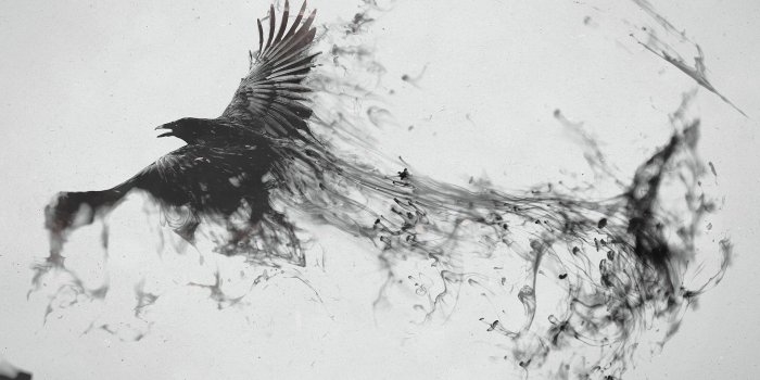1920x1200 Free download Crow turning into smoke wallpaper 14570 [1920x1200