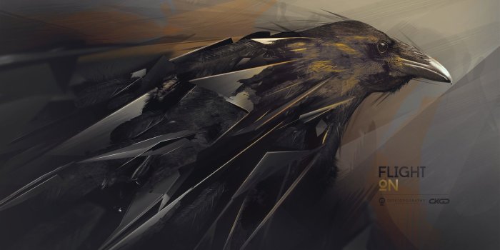 2560x1440 3D Crow Wallpapers - Top Free 3D Crow Backgrounds - WallpaperAccess