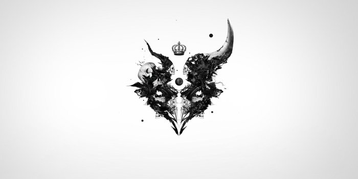 2560x1440 Crow Wallpapers HD
