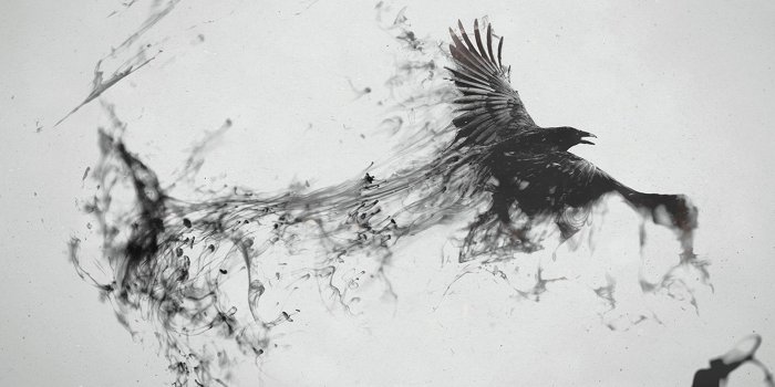 1920x1080 70+ Crow Desktop Wallpapers on WallpaperPlay