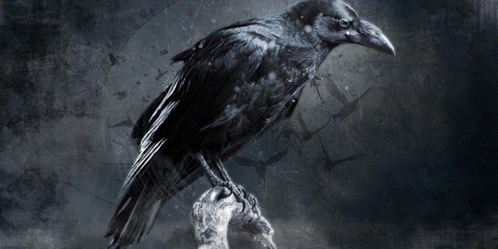 1920x1080 crow, Digital art Wallpapers HD / Desktop and Mobile Backgrounds