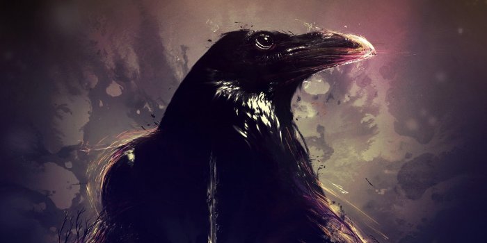 1920x1080 70+ Crow Desktop Wallpapers on WallpaperPlay