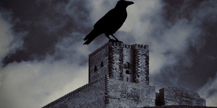 1920x1080 Halloween Crow Best HD Wallpaper 34687 - Baltana