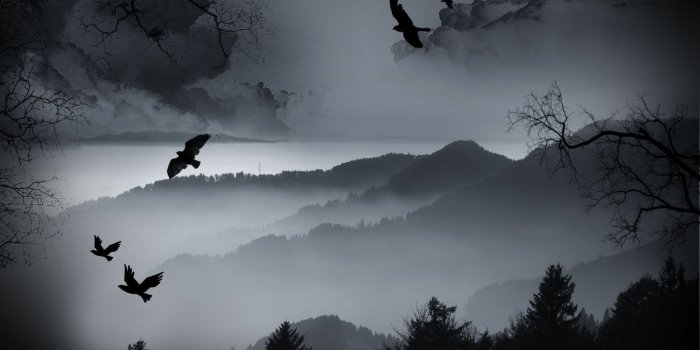 1500x1100 Crow – High Quality HD Wallpapers | HD Quality 1080P, OWN56OWN