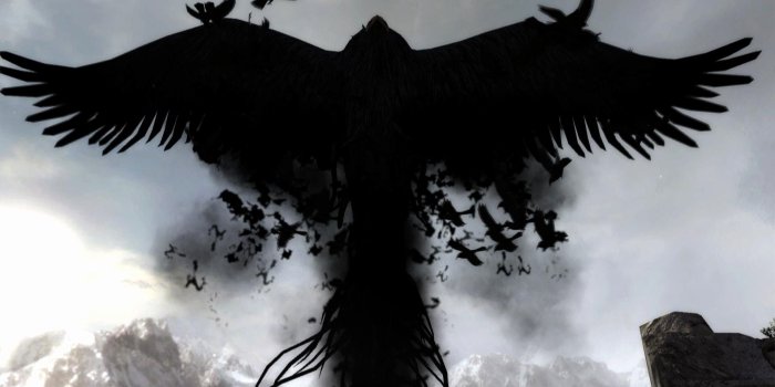 1920x1080 Crows Wallpaper Elegant Crow Wallpaper ·① Download Free