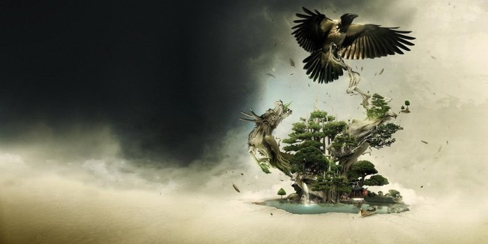 1920x1080 Crow Wallpapers 13 – HD Wallpaper, Wallpapers Pics The Best
