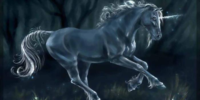 1280x1024 Black Unicorn Desktop Wallpapers - Top Free Black Unicorn Desktop