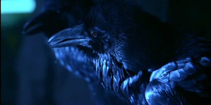 1920x1080 The Crow wallpapers 1920x1080 Full HD (1080p) desktop backgrounds
