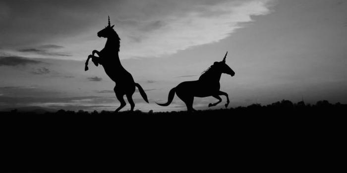 1366x768 Black Unicorn Wallpapers - Top Free Black Unicorn Backgrounds