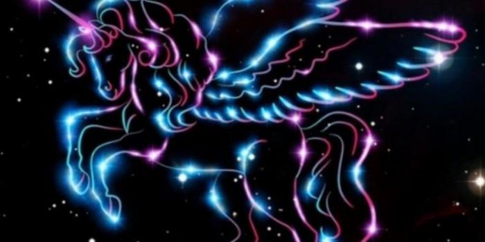 1080x2220 Download Black Unicorn Wallpaper, HD Backgrounds Download - itl.cat