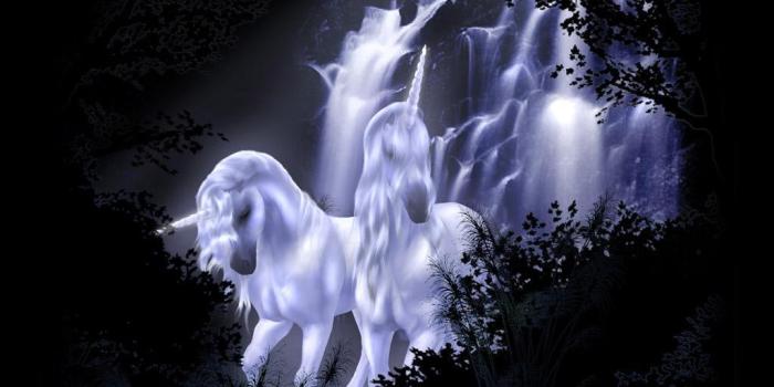 1024x768 Best 57+ Unicorn Wallpaper on HipWallpaper | Unicorn Wallpaper
