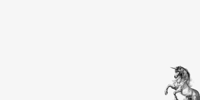 1920x1080 BEST WALLPAPER: Wallpaper Pc White