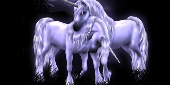 2560x1600 Fantasy 2 Shiny Blue Unicorns On Black Backgrounds » Wallpapers HD