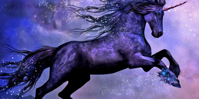 2048x1536 Purple Unicorn HD wallpaper download