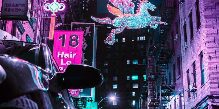 1000x1426 27+ Unicorn Pictures | Download Free Images on Unsplash