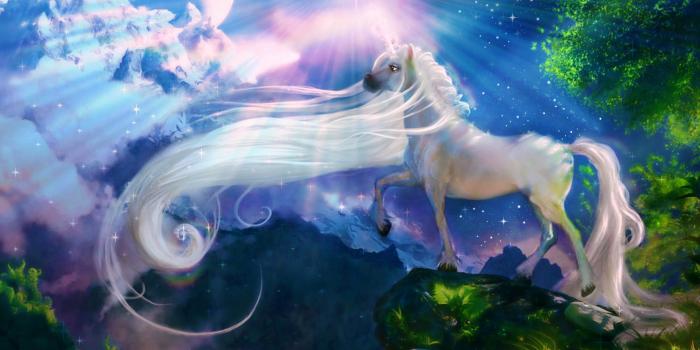 2629x1477 Unicorn background ·① Download free beautiful High Resolution
