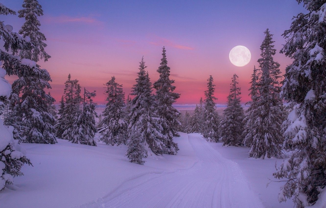 1332x850 Wallpaper snow, tree, full moon images for desktop, section